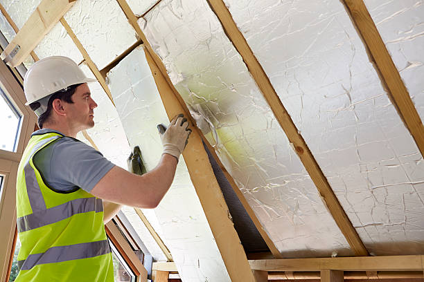Best DIY Insulation Kits and Guidance in Watervliet, MI